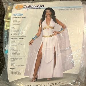 California Costumes Divine Goddess Outfit